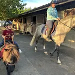Unique 3 Centre Equestre & Snack *