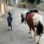 Unique 3 Centre Equestre & Snack * Vic-le-Comte