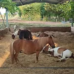 Apartment Unique 3 Centre Equestre & Snack *