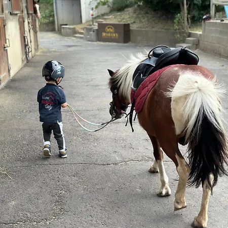 Unique 3 Centre Equestre & Snack * Vic-le-Comte
