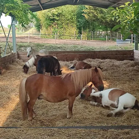 Apartmán Unique 3 Centre Equestre & Snack *