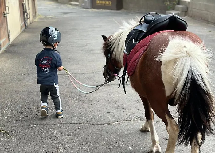 Unique 3 Centre Equestre & Snack * Vic-le-Comte
